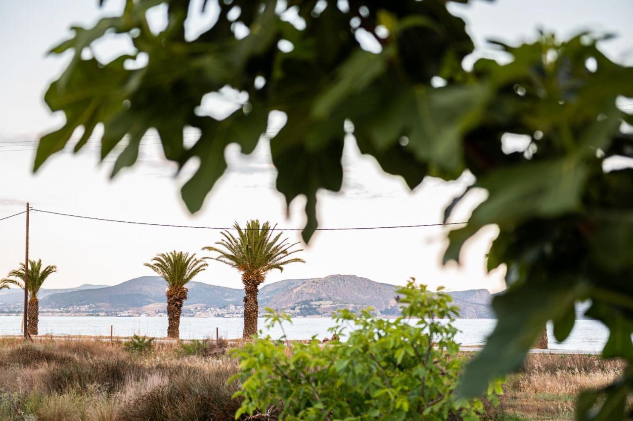 Sea View Residence Nea Kios Exterior photo